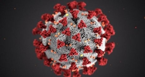 3183 са новите случаи на коронавирус